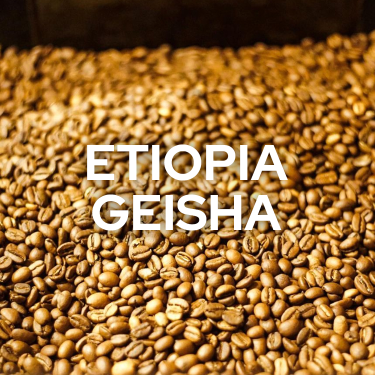 エチオピア ゲイシャ 浅煎り - Ethiopia geisha Natural